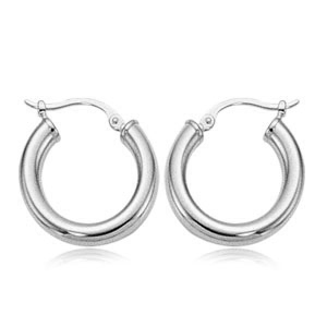 Silver Earrings